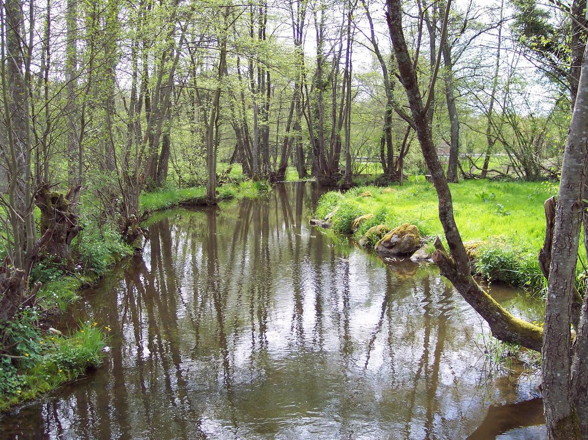 La Vieille Auberge Du Lac Saint-Agnan  Esterno foto