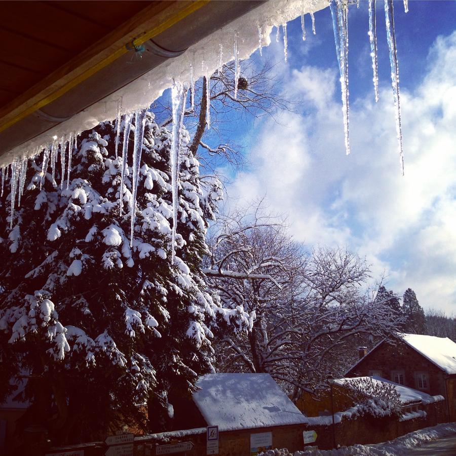 La Vieille Auberge Du Lac Saint-Agnan  Esterno foto